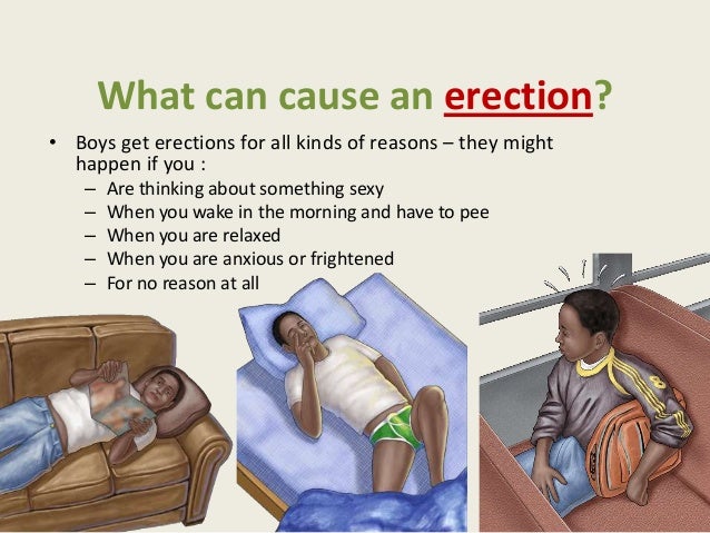 How To Erect Wet Dreams Happen How To Impute Wet Dreams Happen